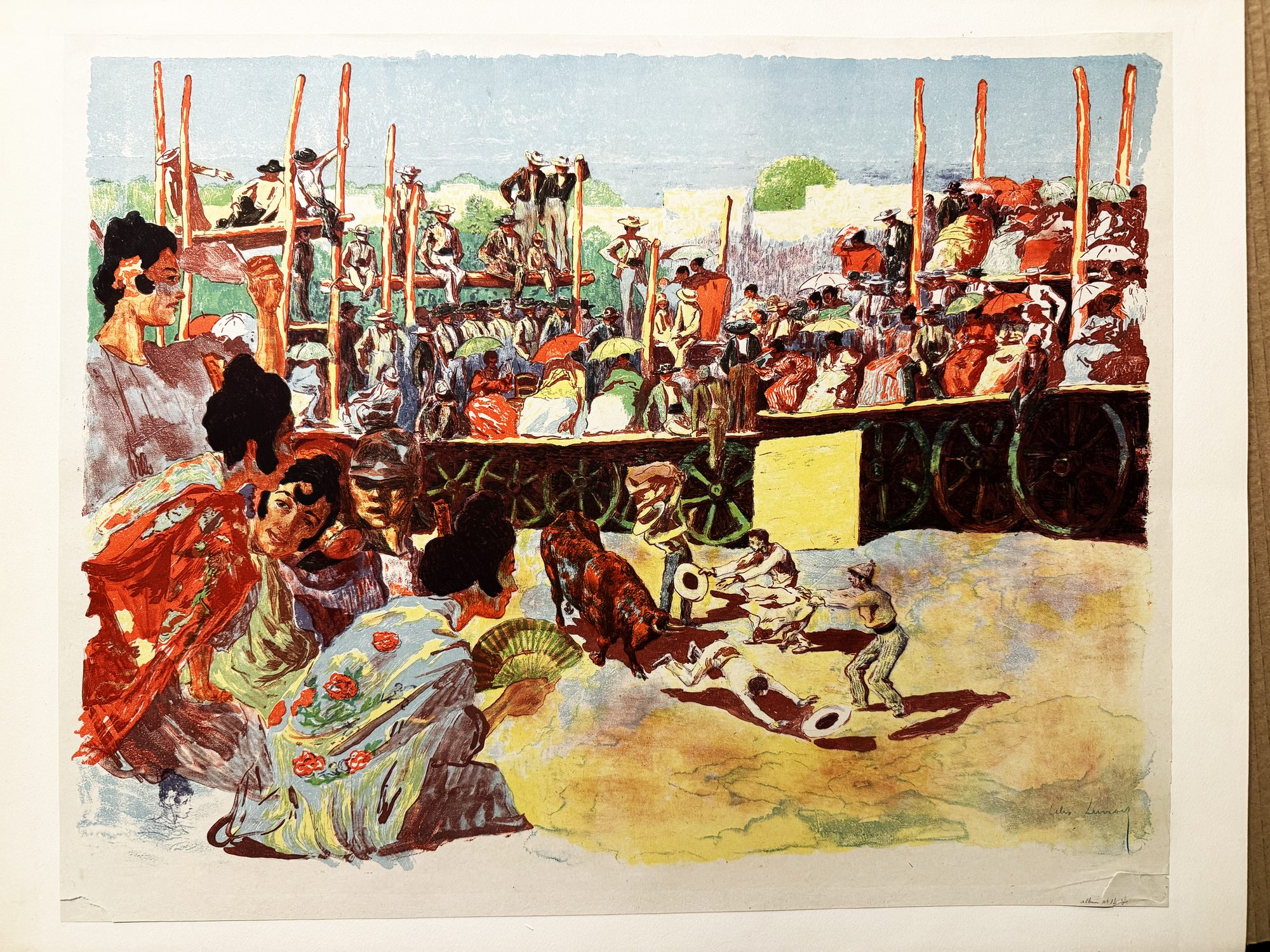 A bullfight in the countryside
